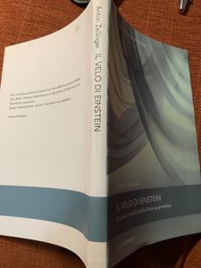 Il Velo Di Einstein. Il Nuovo Mondo Della Fisica Quantistica
