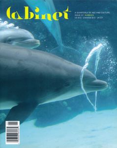 Cabinet Issue 37