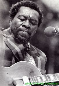 Joe Willie Wilkins