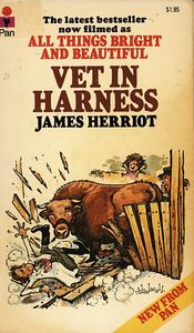Vet in Harness