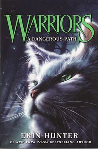 A Dangerous Path