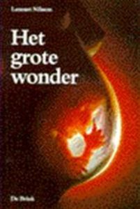 Het Grote Wonder