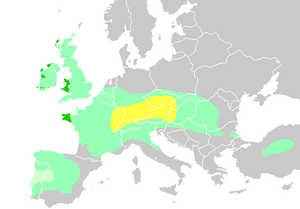 Celts