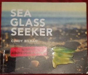 Sea Glass Seeker