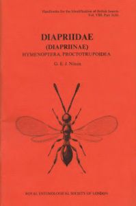 Diapriidae (Diapriinae) Hymenoptera, Proctotrupoidea