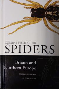 Spiders Of Britain And Northern Europe
