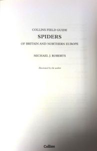 Spiders Of Britain And Northern Europe