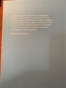 L'Equilibrio Punteggiato.