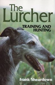 The Lurcher: Training and Hunting