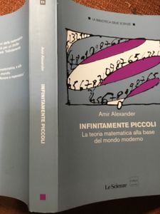 Infinitamente Piccoli. La Teoria Matematica Alla Base Del Mondo Moderno