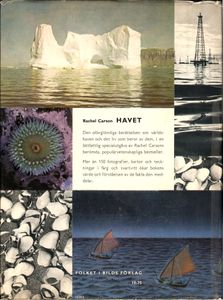 Havet