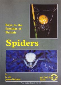 Keys to the Families of British Spiders