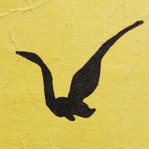 Albatrosz Könyvek
