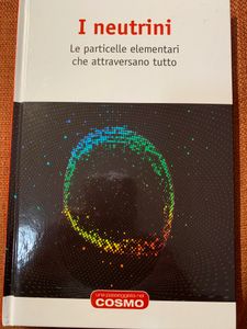 I Neutrini. Le Particelle Elementari Che Attraversano Tutto