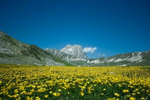 Campo Impertore