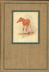 The Red Pony