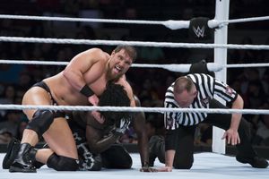 Professional Wrestling