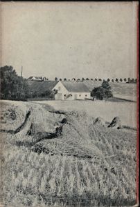Danish Agriculture: Denmark as a Food Producer