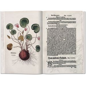 Leonhart Fuchs - Il nuovo Erbario del 1543