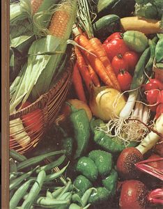 Vegetables and Fruits