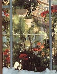 Greenhouse Gardening