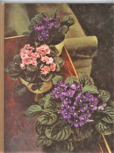 Flowering House Plants