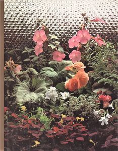 Gardening Under Lights