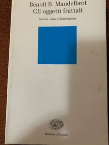 Gli Oggetti Frattali. Forma, Caso E Dimensione