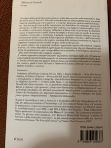Gli Oggetti Frattali. Forma, Caso E Dimensione