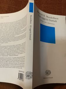 Gli Oggetti Frattali. Forma, Caso E Dimensione