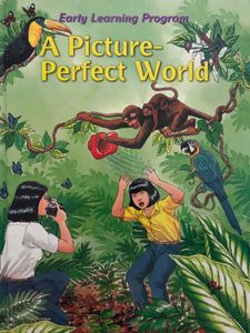 A Picture-Perfect World