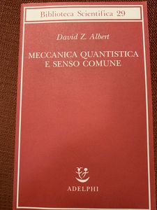 Meccanica Quantistica E Senso Comune