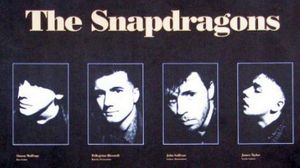 The Snapdragons