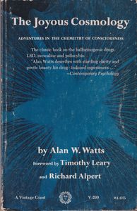 The Joyous Cosmology