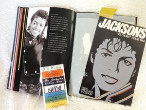 Los Tesoros De Michael Jackson