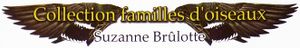 Collection Familles D'oiseaux
