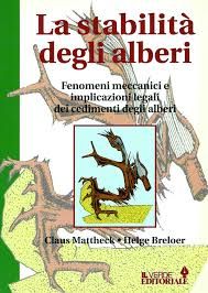 La stabilità degli alberi: Fenomeni meccanici e implicazioni legali dei cedimenti degli alberi