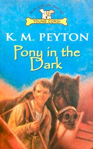 Pony in the Dark