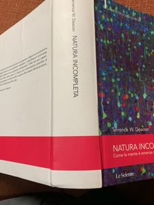 Natura Incompleta. Come La Mente E' Emersa Dalla Materia