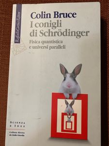 I Conigli Di Schrödinger. Fisica Quantistica E Universi Paralleli