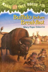 Buffalo Before Breakfast