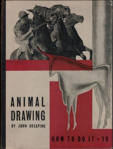 Animal Drawing
