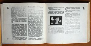 Leksykon. Wyrazy trudne, ważne i ciekawe dla dzieci i młodzieży
