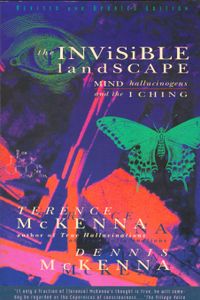 The Invisible Landscape