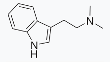 DMT