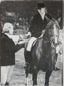 Marion Mould's Book of Horses No 4