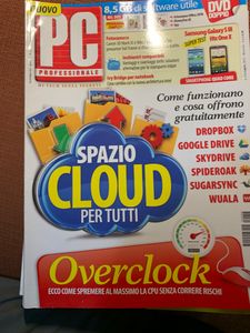 PC Professionale (n.256)