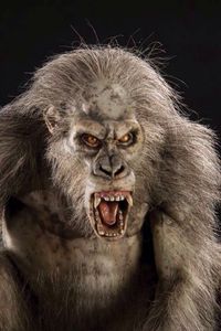 Honey Island Swamp Monster