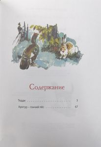 Арктур — гончий пёс