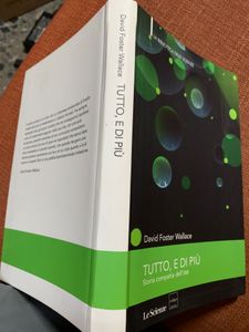 Tutto, E Di Più. Storia Compatta Dell'Infinito